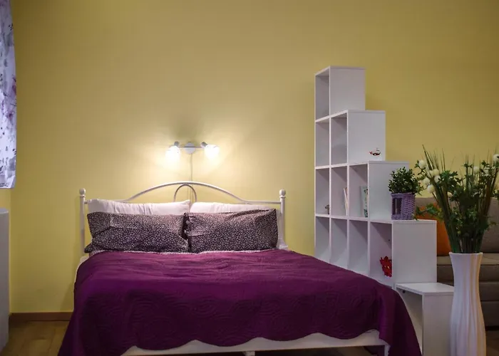 Lana's In The Part Of The شقة بلغراد